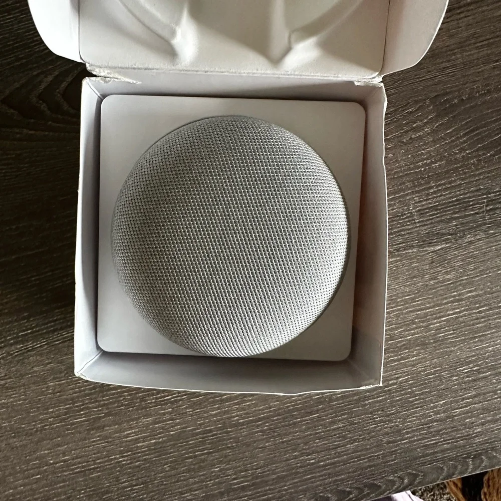 Google home mini